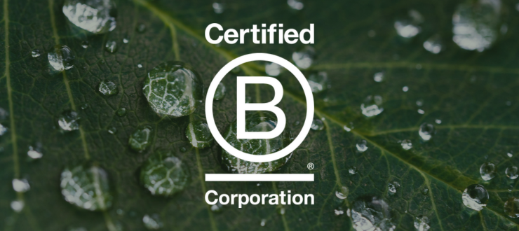The Certified B Corp logo in white on top of a leaf covered with drops of water